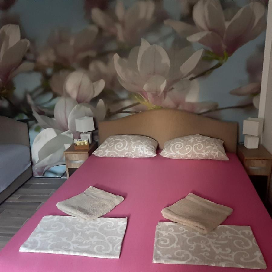 科托尔Vicky 1公寓 外观 照片